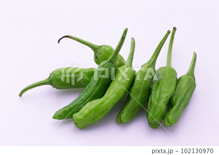 ししとう 102130970