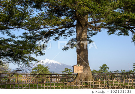 春の朝 弘前城本丸から岩木山を望む 青森県 春の朝 弘前城本丸から岩木山を望む 青森県 102131532