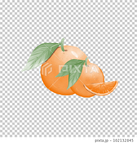 Orange with leaf Orange with leaf 102132845