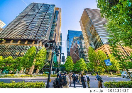 日本の東京都市景観 大手町側から新緑に染まる丸の内のオフィス街などを望む 102133437