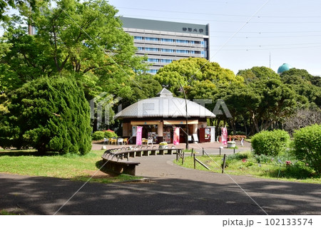 駒沢オリンピック公園緑地の新緑と円形花壇と売店と駒沢大学 駒沢オリンピック公園緑地の新緑と円形花壇と売店と駒沢大学 102133574