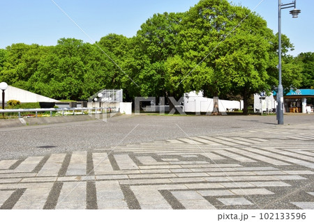 駒沢オリンピック公園の中央広場と緑地 駒沢オリンピック公園の中央広場と緑地 102133596