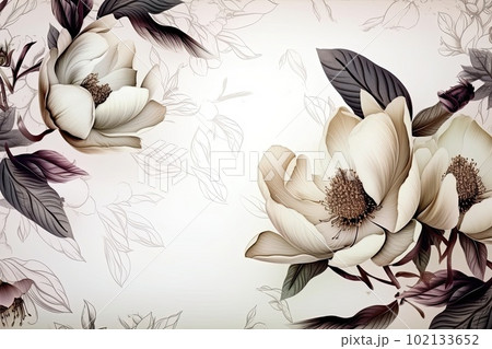 magnolia blooming flowers magnolia blooming flowers 102133652