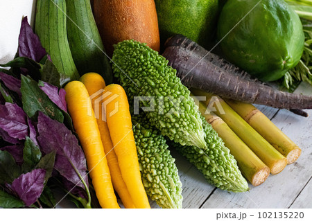 沖縄の島野菜集合写真3 沖縄の島野菜集合写真3 102135220