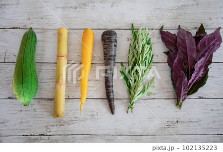 沖縄の島野菜集合写真5 沖縄の島野菜集合写真5 102135223