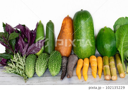 沖縄の島野菜集合写真10 沖縄の島野菜集合写真10 102135229