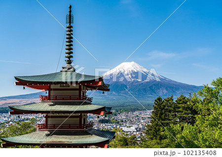 【山梨県】春の新緑の新倉山浅間公園 102135408