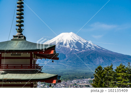 【山梨県】春の新緑の新倉山浅間公園 102135409