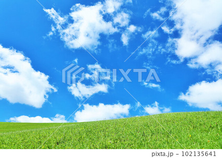 夏の青空と新緑の草原風景 102135641