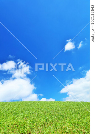 夏の青空と新緑の草原風景 102135642