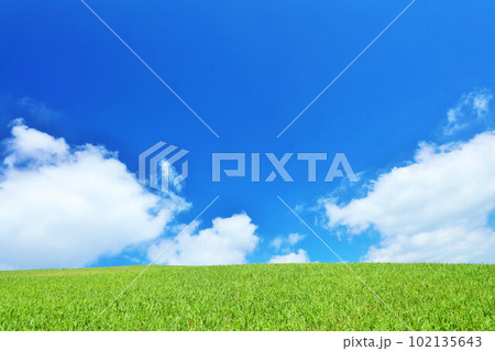 夏の青空と新緑の草原風景 102135643