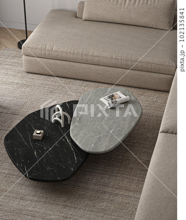 Simple classic minimalism close up interior livingroom with gray stone coffee table, carpet and dark brown sofa. 3d rendering. High quality 3d illustration 102135841