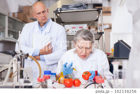 Scientists injecting additives into tomatoes Scientists injecting additives into tomatoes 102138256