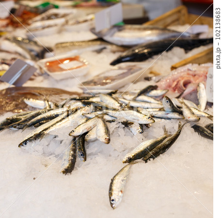 Display with assorted seafood Display with assorted seafood 102138683