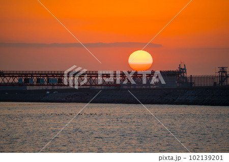 【京浜島つばさ公園からの日の出】 102139201
