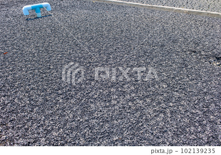 Dry Sewage sludge from a sewage treatment plant, wastewater Dry Sewage sludge from a sewage treatment plant, wastewater 102139235