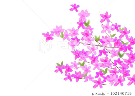 三葉躑躅の花カード4 102140719