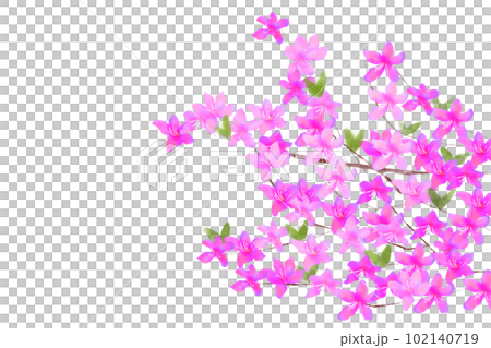 Trefoil flower card 4 102140719