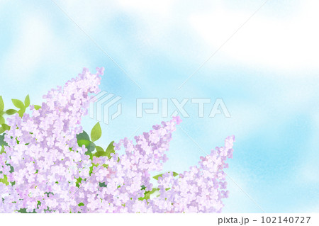 ライラックの花カード5 ライラックの花カード5 102140727