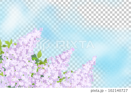 ライラックの花カード5 ライラックの花カード5 102140727