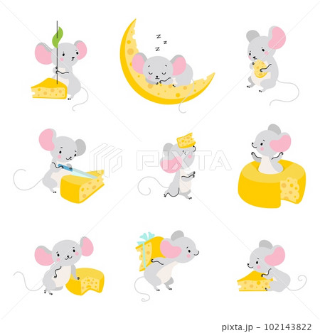 Mouse and cheese. Cute mice eating, funny rats group cartoon characters. Rat sleeping, playing and has various activity. Nowaday vector animal creatures 102143822