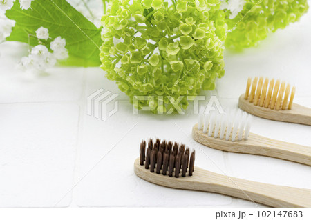 エコ歯ブラシ 102147683