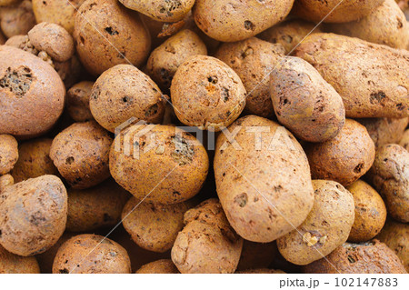 Expanded clay. small lumps of clay used in construction and for growing plants. 102147883