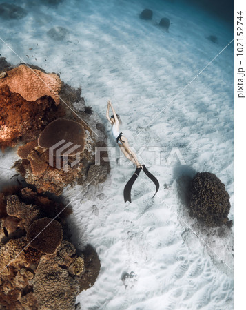 Freediver woman glides on the deep with fins near corals in tropical sea Freediver woman glides on the deep with fins near corals in tropical sea 102152744