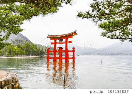 厳島神社、大鳥居(2023年) 厳島神社、大鳥居(2023年) 102152887
