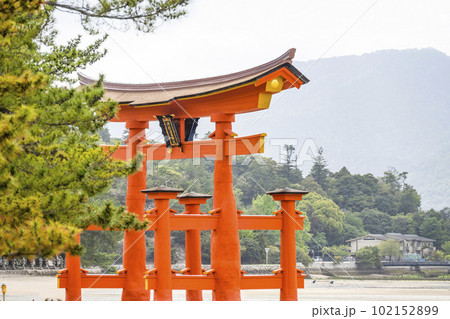厳島神社、大鳥居(2023年) 厳島神社、大鳥居(2023年) 102152899