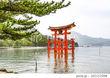 厳島神社、大鳥居(2023年) 102152998