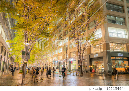 《東京都》丸の内・冬のイルミネーション《雨天》 102154444