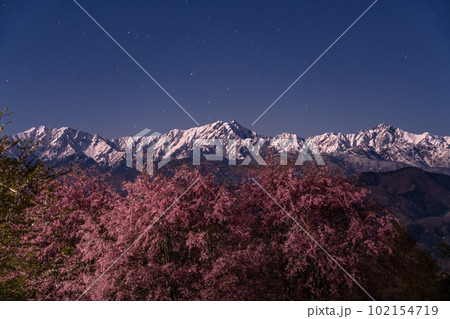 《長野県》月明かりの夜桜と北アルプスの山々・番所の桜 102154719