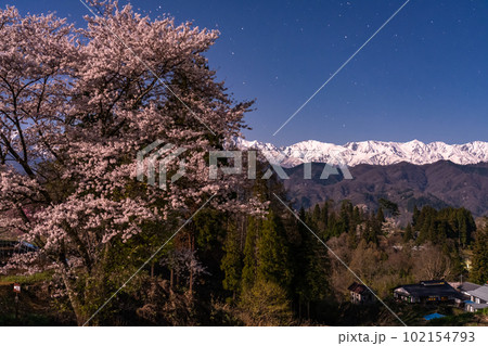 《長野県》夜桜と北アルプスの山々・番所の桜 102154793