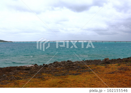 宮古島の西平安名崎から眺める池間大橋 102155546