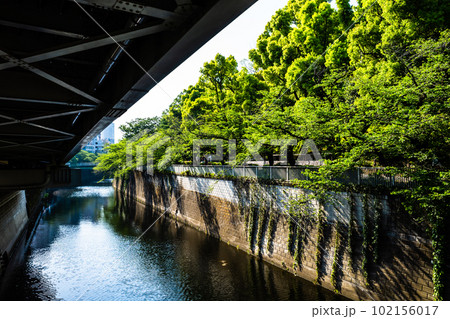 新緑の川辺を走る首都高速 首都高速5号線 早稲田出口 2023.04 高彩度コントラスト 新緑の川辺を走る首都高速 首都高速5号線 早稲田出口 2023.04 高彩度コントラスト 102156017