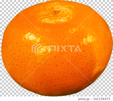 Cheon Hye-hyang,  Tangerine,  isolated on transparent background 102156473