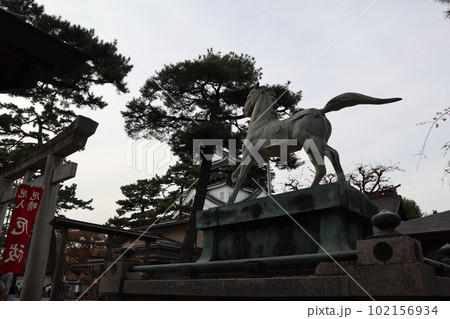 岡崎公園でお花見　岡崎市　岡崎公園　岡崎城　徳川家康　さくらまつり 102156934