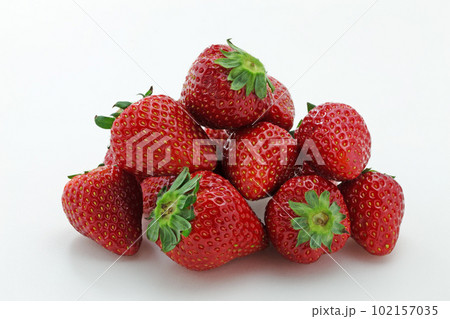 イチゴのとちおとめ イチゴのとちおとめ 102157035
