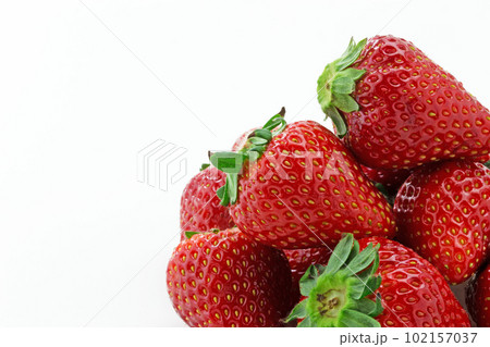 イチゴのとちおとめ 102157037