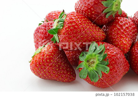 イチゴのとちおとめ イチゴのとちおとめ 102157038