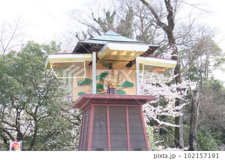 岡崎公園でお花見　岡崎公園　岡崎城　徳川家康　さくらまつり 102157191