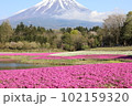 芝桜　富士山 102159320
