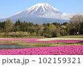 芝桜　富士山 102159321