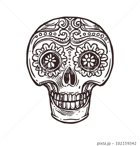 Cinco de Mayo Mexican holiday skull calavera, Mexico fiesta party symbol, vector sketch. Cinco de Mayo or 5 May fiesta party traditional calavera skull with Mexican ornament in hand drawn sketch 102159342