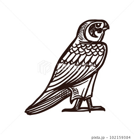 Horus falcon sketch, Ancient Egypt deity and mythology bird, vector icon. Ancient Egyptian sacred falcon bird deity and symbol of god Ra or Horus, mythology hand drawn sketch sign 102159384
