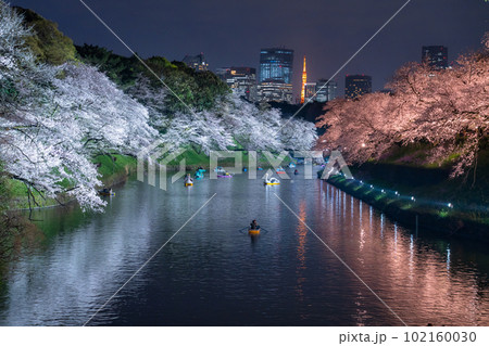 《東京都》春の千鳥ヶ淵・桜満開の夜景 102160030