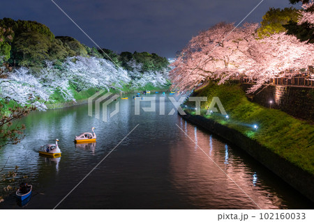 《東京都》春の千鳥ヶ淵・桜満開の夜景 《東京都》春の千鳥ヶ淵・桜満開の夜景 102160033