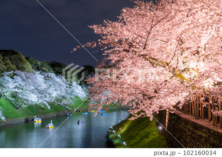 《東京都》春の千鳥ヶ淵・桜満開の夜景 《東京都》春の千鳥ヶ淵・桜満開の夜景 102160034