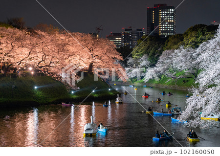 《東京都》春の千鳥ヶ淵・桜満開の夜景 102160050